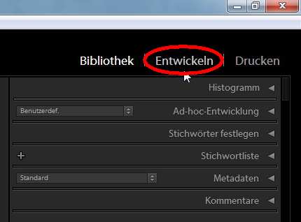 Abb. 2 - Über den Arbeitsbereich zum Entwickeln-Modul wechseln