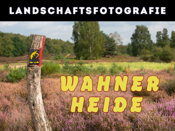 Landschaftsfotografie Wahner Heide